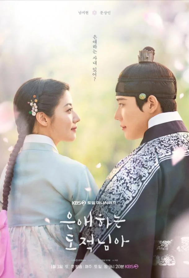 Мой любимый вор Смотреть сериал 2026 онлайн